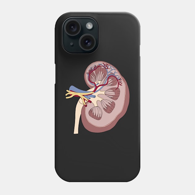 Kidney anatomy Phone Case by Carries Design 