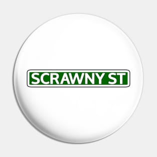 Scrawny St Street Sign Pin