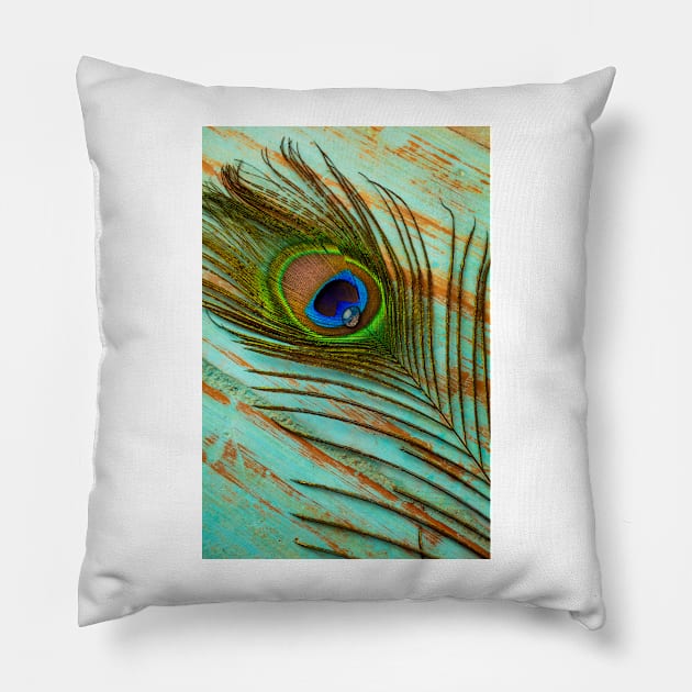 Peacock Feather With Dew Drop Pillow by photogarry