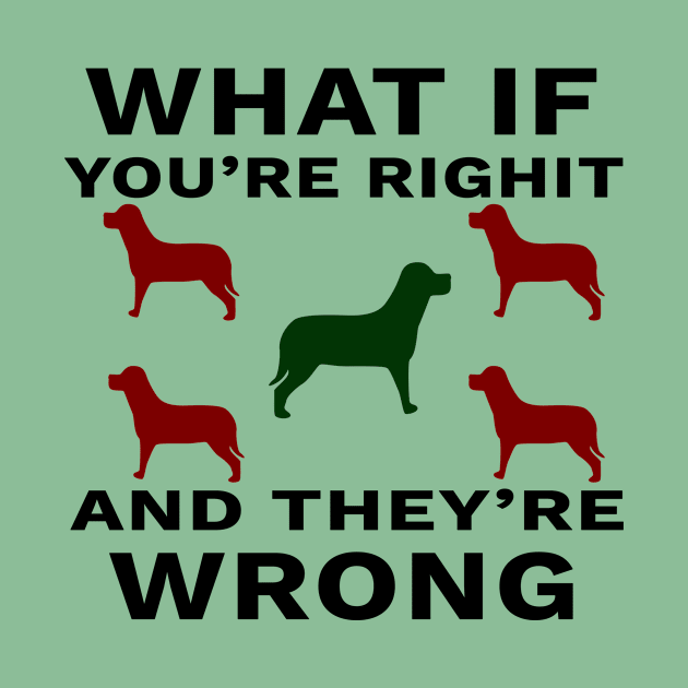 What If You're Right And They're Wrong by YassShop