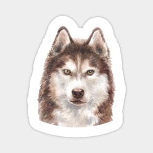 Siberian Husky Watercolor Art Magnet