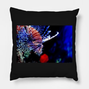 Red lionfish or zebrafish underwater Pillow