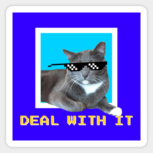 Deal With It Sunglass Cat Meme Deal With It Sunglasses