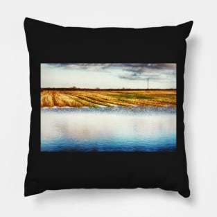 Flooded Field HDR Pillow