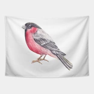 Bird. Bullfinch Tapestry