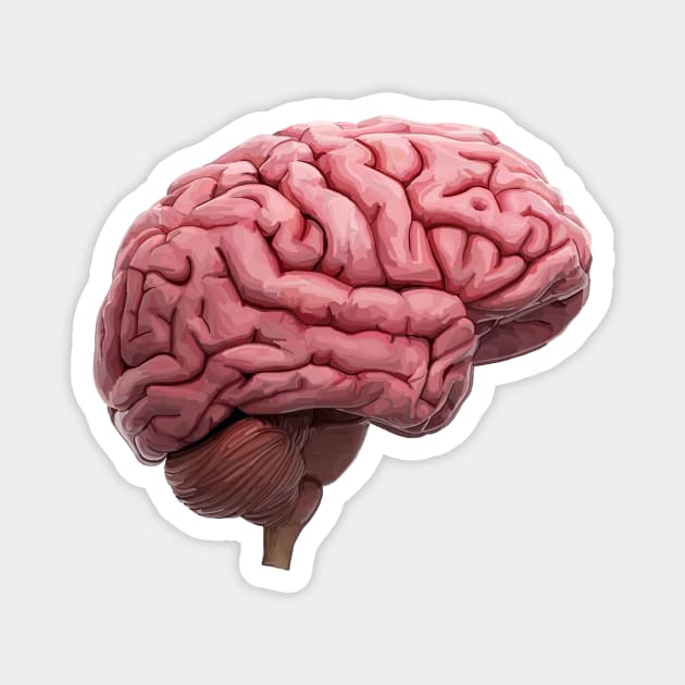 Scientific Human Brain Study Magnet by Art by Deborah Camp