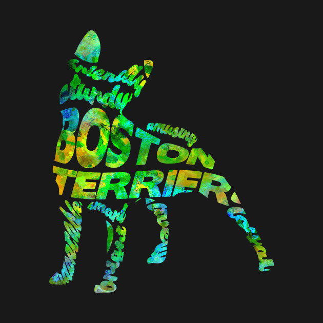 Boston Terrier Boston Terrier Hoodie Teepublic