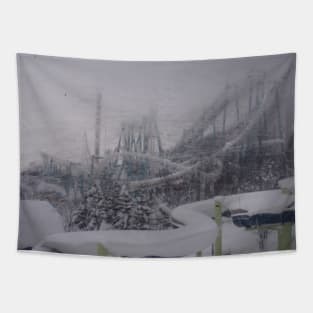 Rollercoaster in a Snowstorm Tapestry