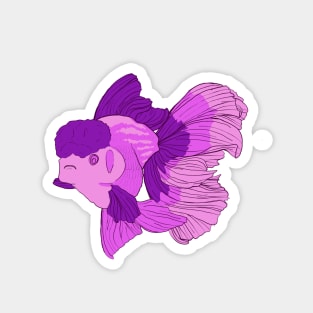 Cute Purple and Pink Oranda Goldfish Magnet