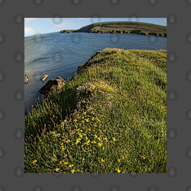 Fetlar, Shetland Islands by Avalinart