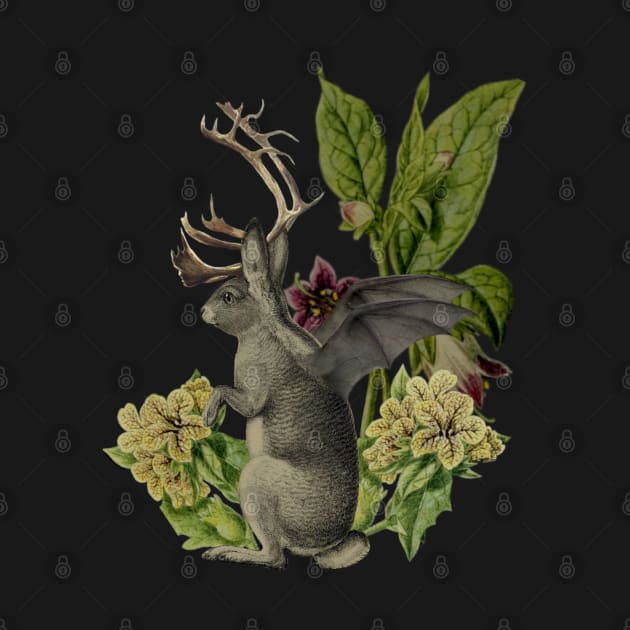 Jackalope Vespertilio by Black Rabbit Curiosities 