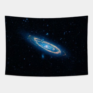 Wide-field infrared view of the Andromeda Galaxy Tapestry