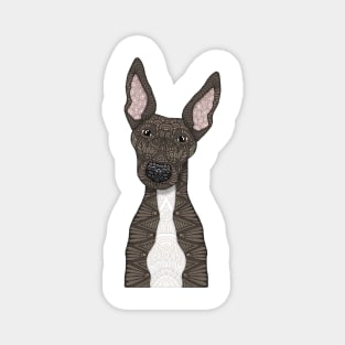 Cute brindle and white greyhound Magnet