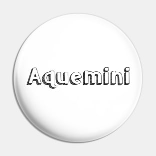 Aquemini // Typography Design Pin