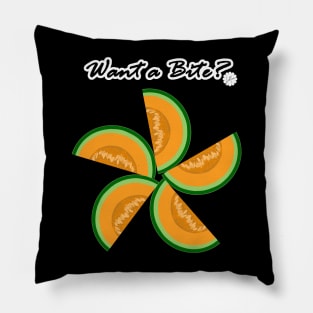 Cantaloupe Melon Pillow