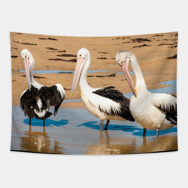 Australians Pod of Pelicans Tapestry by Upbeat Traveler