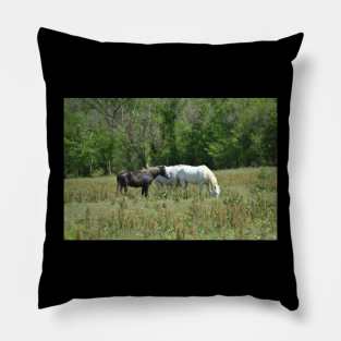 Wild Horses Pillow