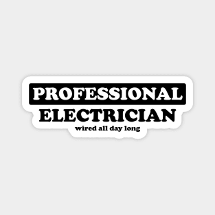 Professional Electrician - Humor Magnet