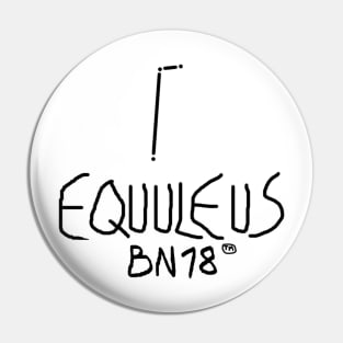 Equuleus Constellation by BN18 Pin