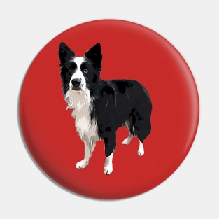 Border Collie - Just look at me! Pin