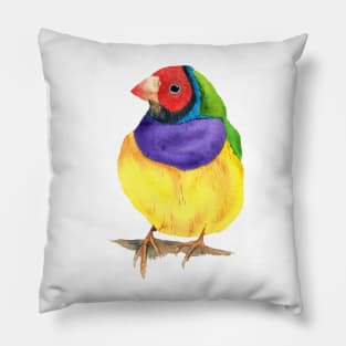 Gouldian finch watercolor Pillow