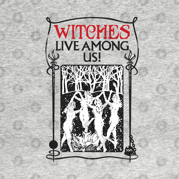 Discover Witches Live Among Us - Fantastic Beasts - T-Shirt