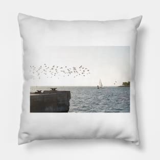 Key West Sea Gulls Pillow