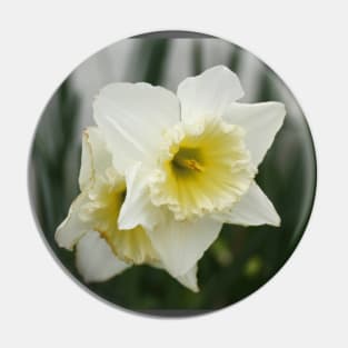 White and Yellow Daffodils, Early Spring Flowers Pin