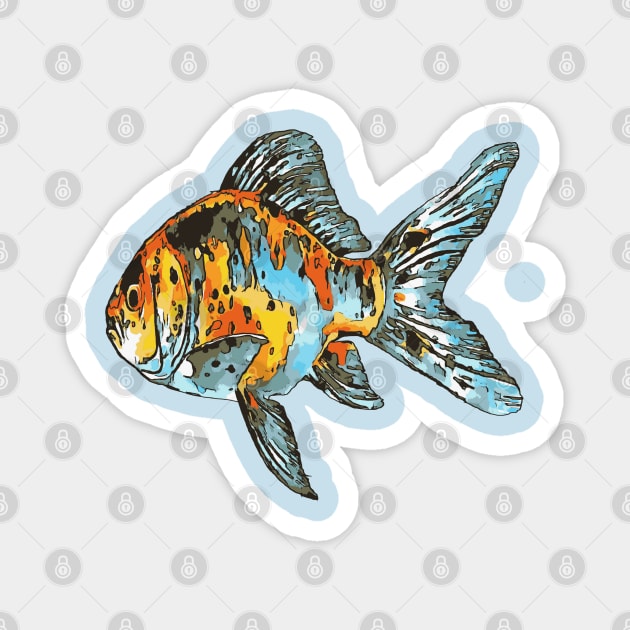 Blue and Orange Shubunkin Goldfish Isolated Magnet by taiche