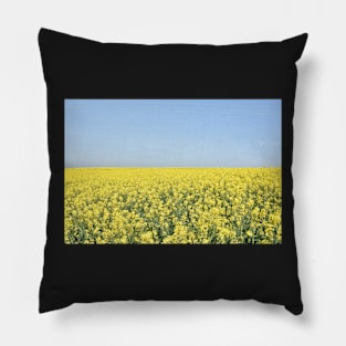 Rapeseed field, Tillingham, Essex Pillow