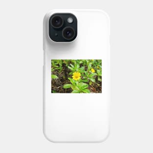 Iao Valley State Monument Study 14 Phone Case