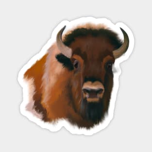 Cute Bison Drawing Magnet