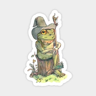 frog wizard Magnet