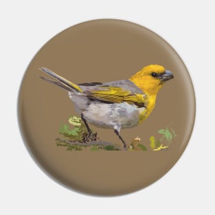 Palila, Hawaiian honeycreeper Pin