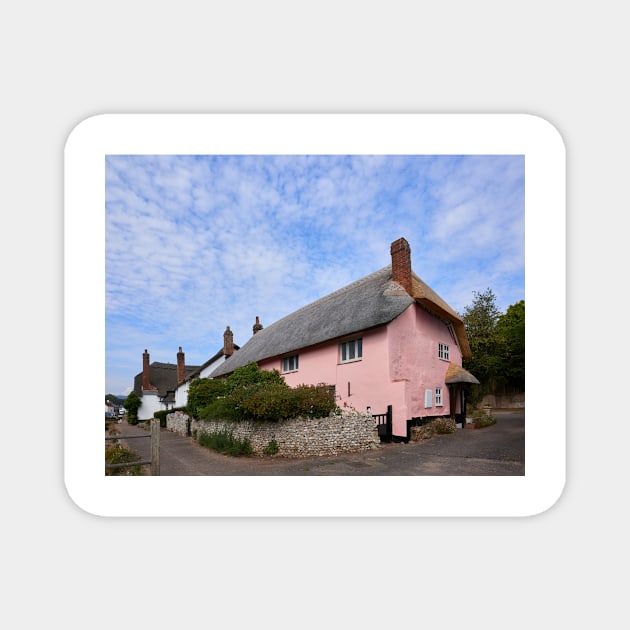 Thatched cottage at Otterton Magnet by GrahamPrentice