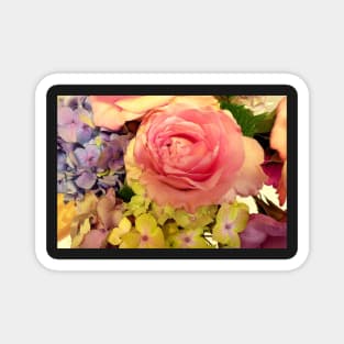 Roses and Hydrangeas Magnet