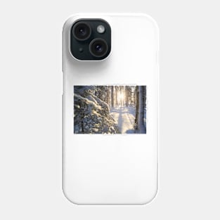 Sunshine in winter forest evening Phone Case