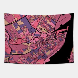 Quebec City Map Pattern in Purple & Pink Tapestry