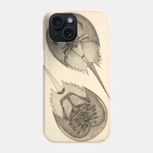 Horseshoe Crab Phone Case