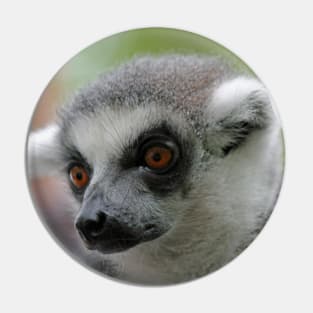 Ring-Tailed Lemur 2 Pin