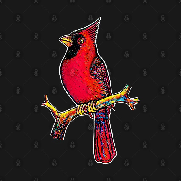 Red Cardinal bird cute cardinal by Artardishop