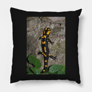 Fire Salamander on Rock Pillow