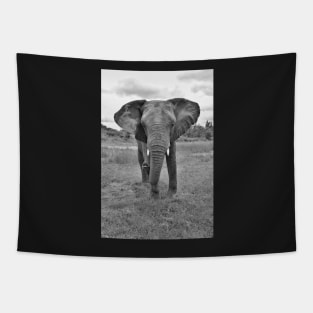 Black and white African Elephant Tapestry