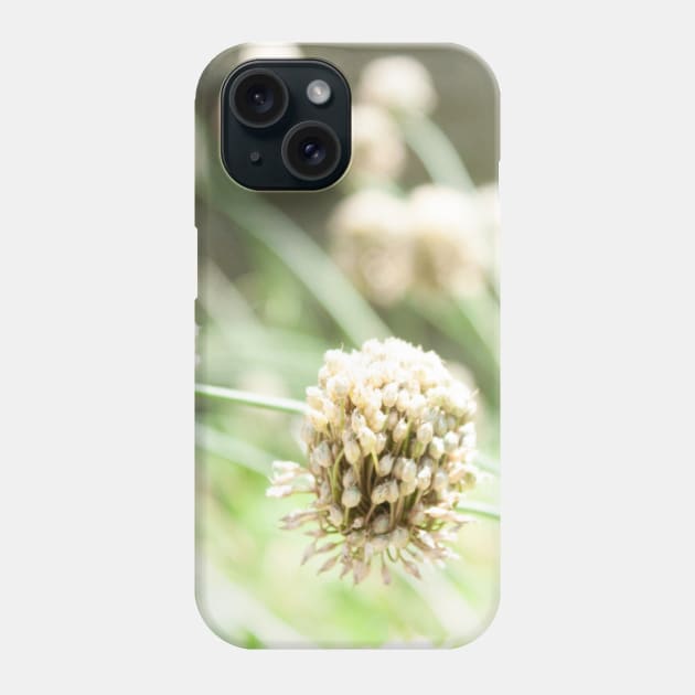 Flower seed balls unique plant Phone Case by Beccasab photo & design