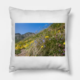 Flowers Pillow