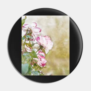 Light pink roses Pin