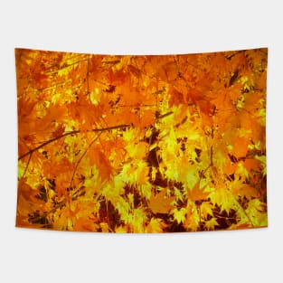 Beautiful golden maple leaves Tapestry