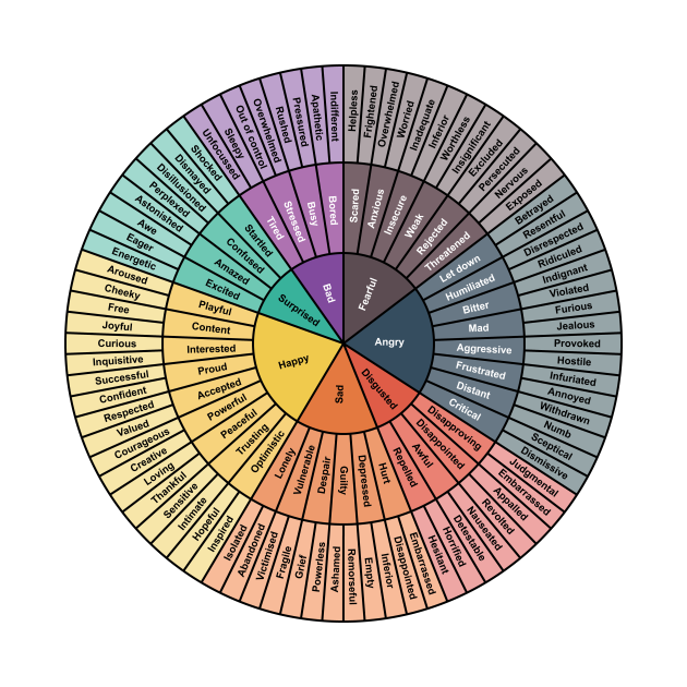 emotion wheel