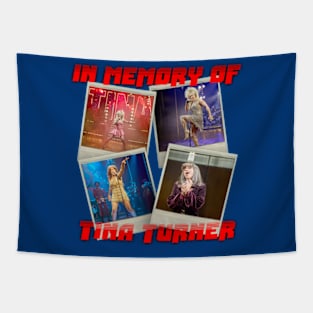 IN MEMORY OF TINA TURNER Tapestry