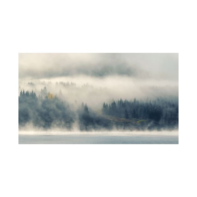 Mist over forest in the morning late autumn by b.sergiu